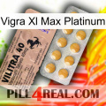 Vigra Xl Max Platinum 41